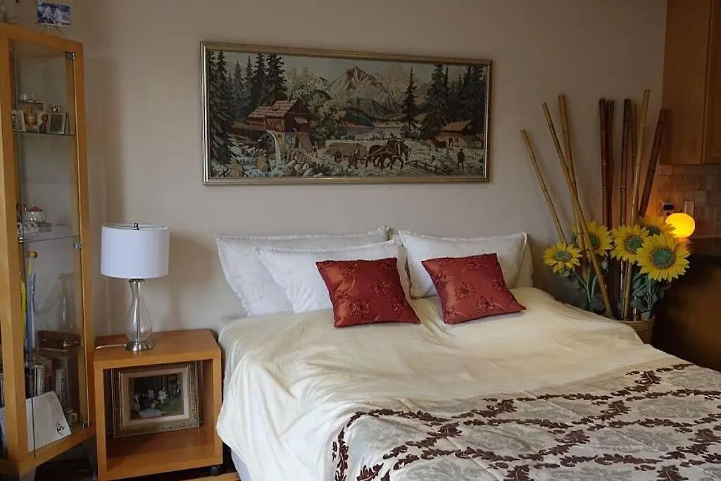 Bright Studio W Full Kitchen And Detached Bathroom Toronto Canada