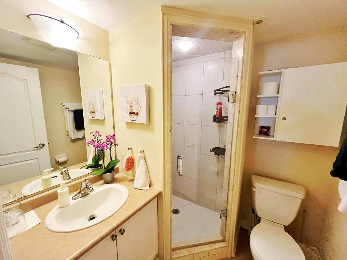Bright Studio W Full Kitchen And Detached Bathroom Toronto 0*,  Canada