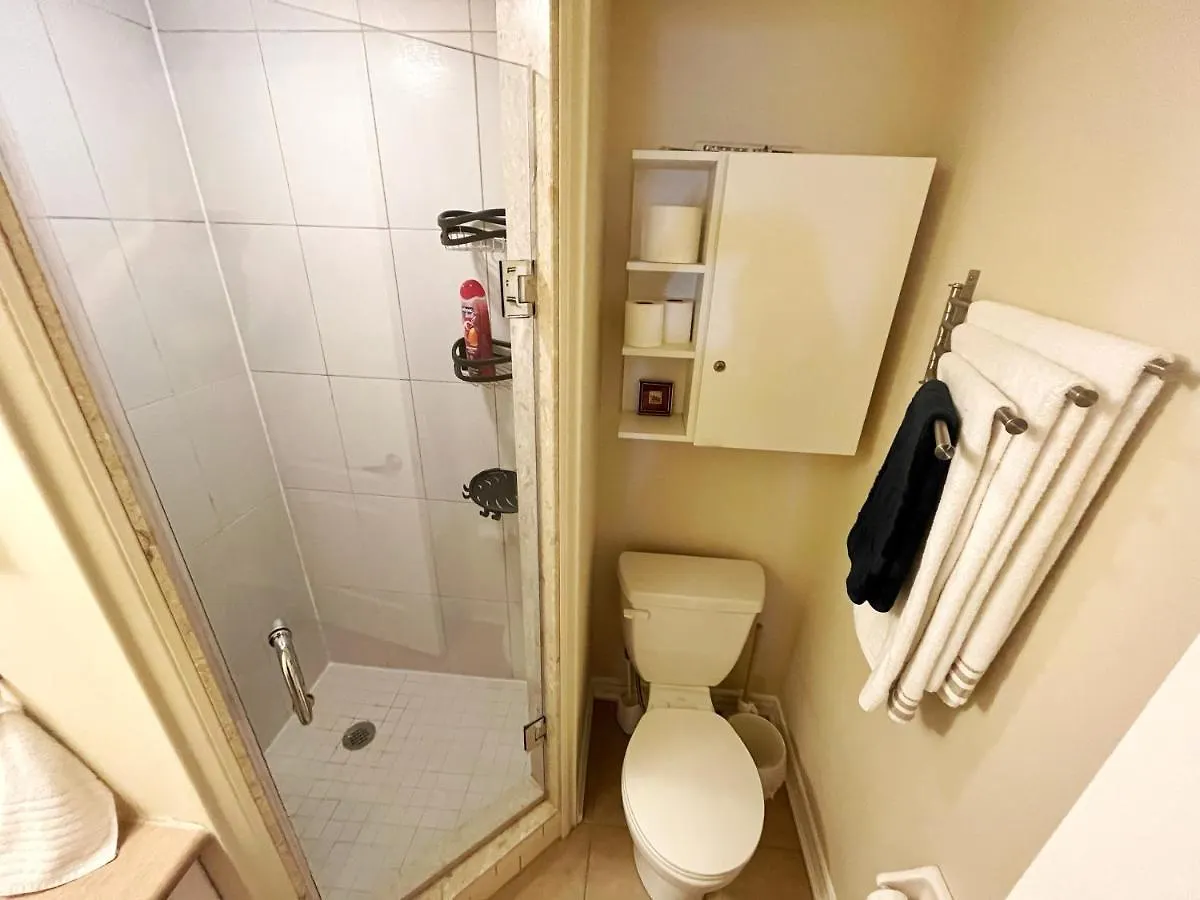 Bright Studio W Full Kitchen And Detached Bathroom Toronto Canada